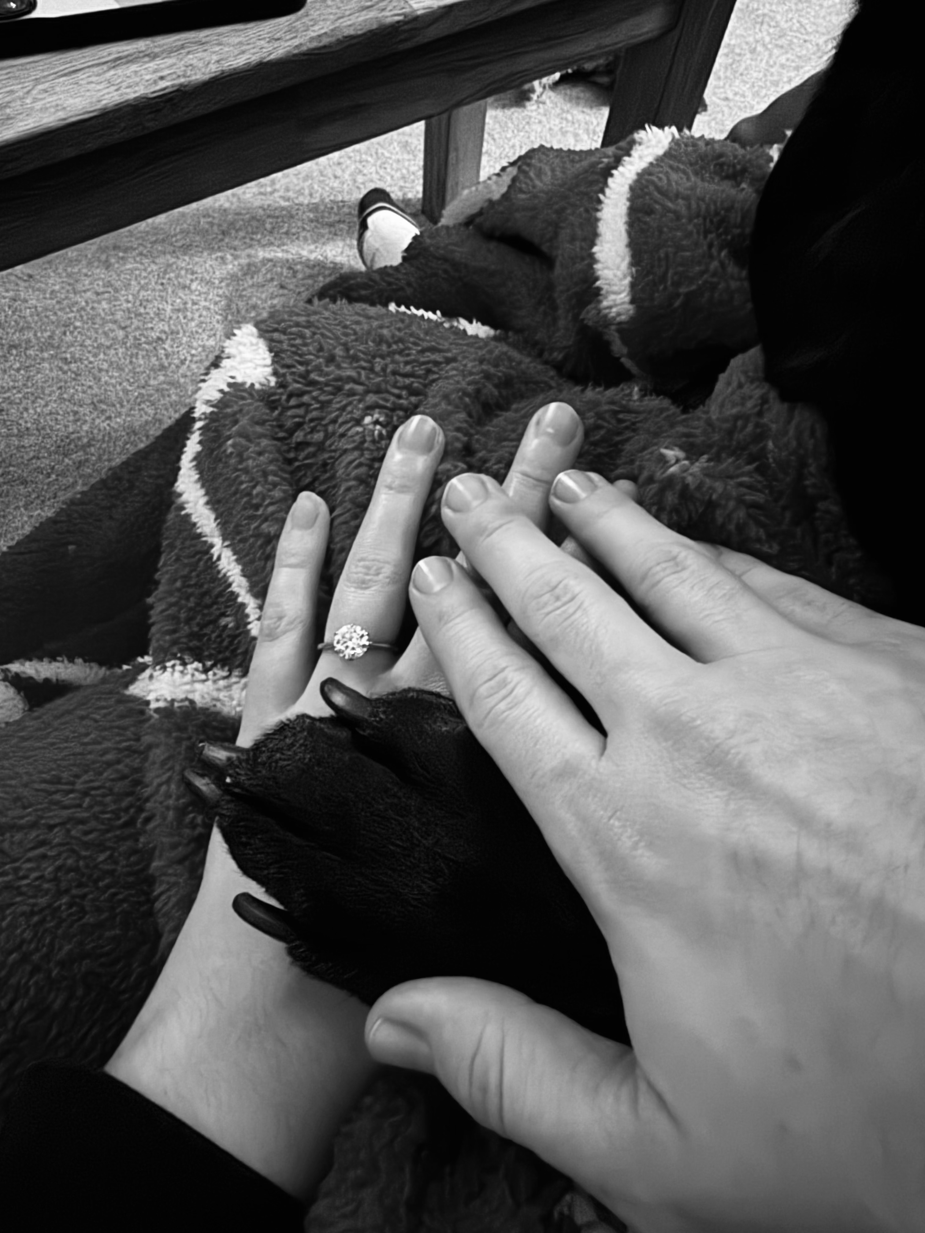 Claire and George's hands together after becoming engaged
